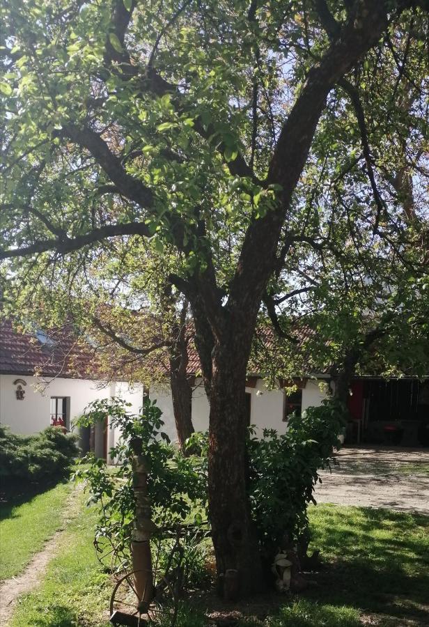 Keramicky A Vytvarny Atelier Konesin Exterior photo